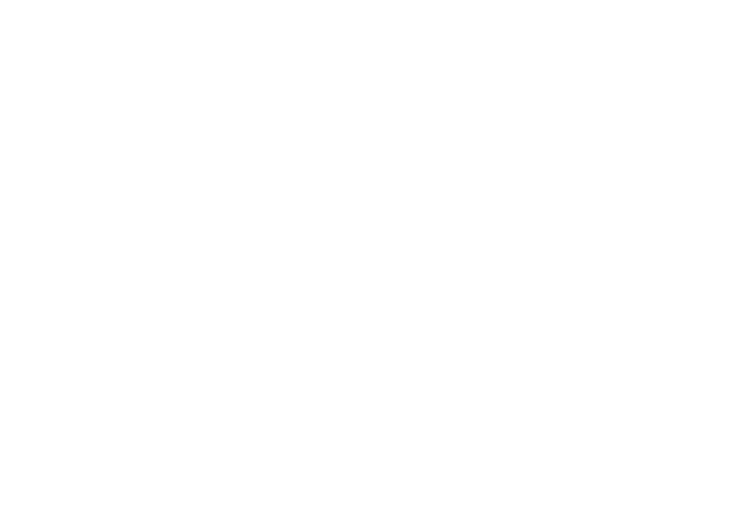 BeeCleanEco